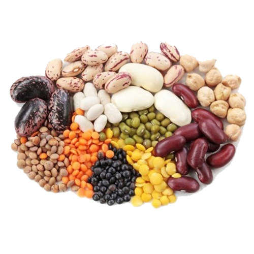 Beans