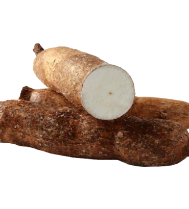 cassava
