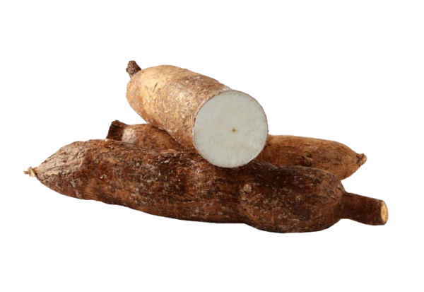 cassava