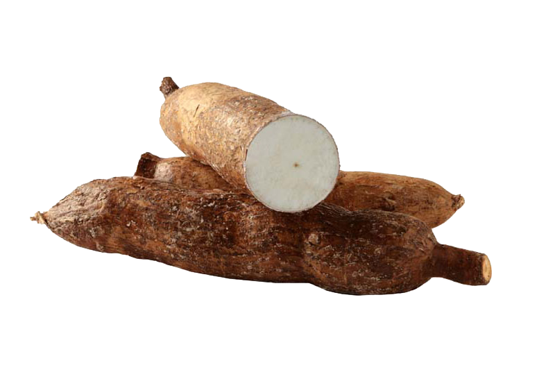 cassava